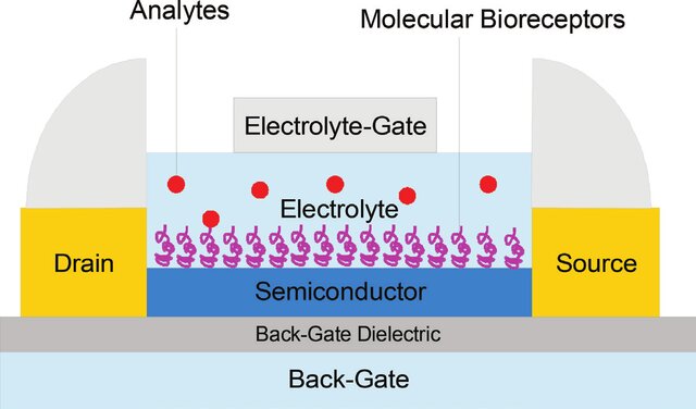Field Effect Transistor Based Biosensors