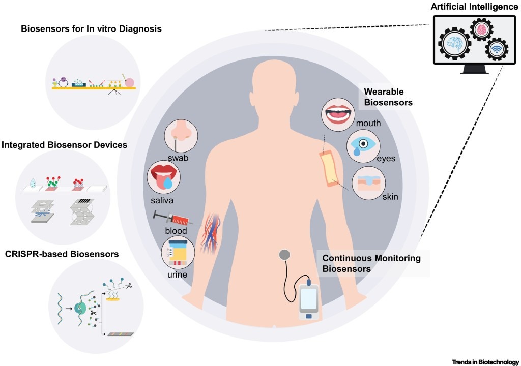 Latest Advancements In Biosensors