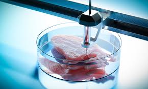 3D Bioprinting of Human Tissue